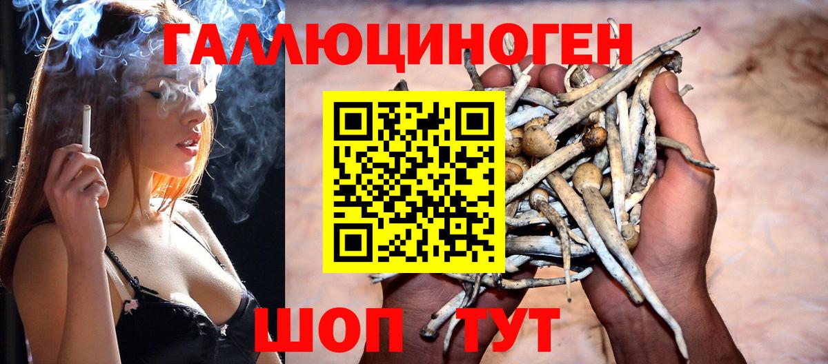 Псилоцибиновые грибы GOLDEN TEACHER  Галлюциногенные грибы мухоморы  Вход с VPN  Ханты-Мансийск 